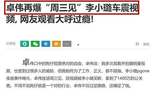 卓伟最新爆料李小路,李小璐事件再掀波澜，真相究竟如何？  第3张