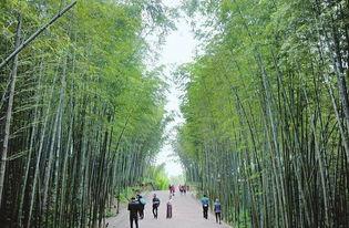 竹林小区新闻爆料最新,业主抗议物业，真相背后引关注  第1张